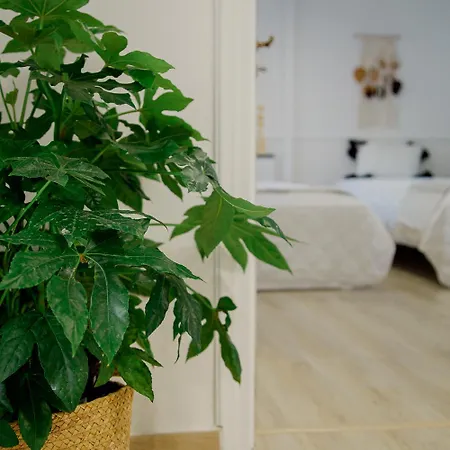 Yard- Family Retreat * Corinth