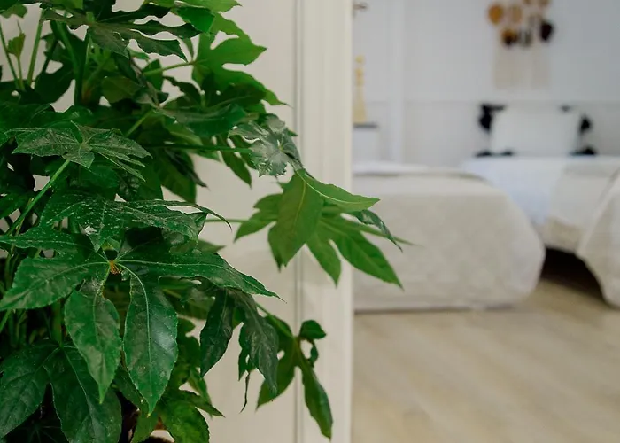 Yard- Family Retreat * Corinth